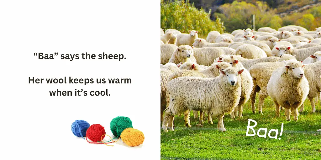 20250413_225940000_iOS 3.webp