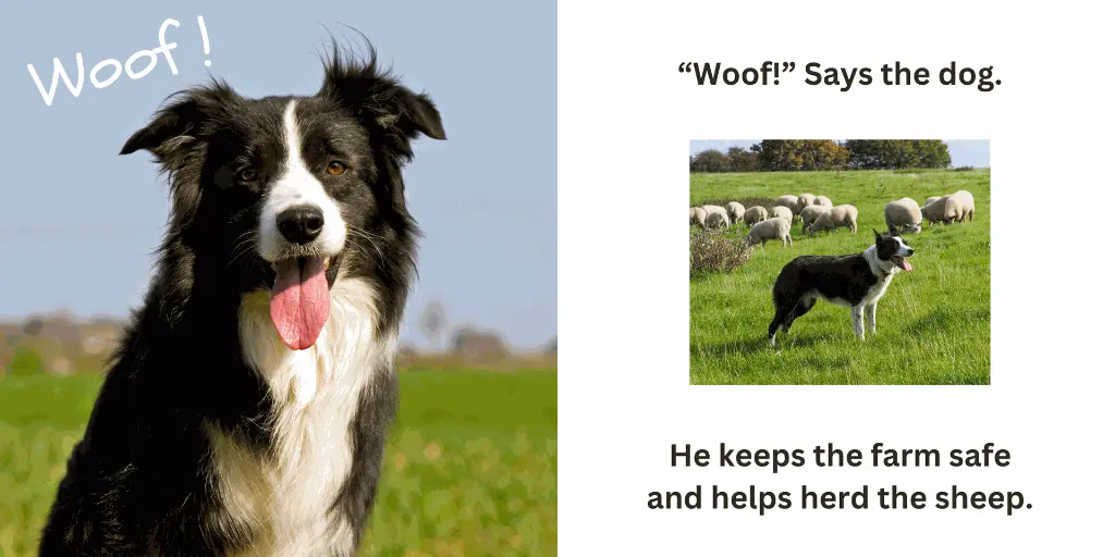 20250413_225940000_iOS 4.webp